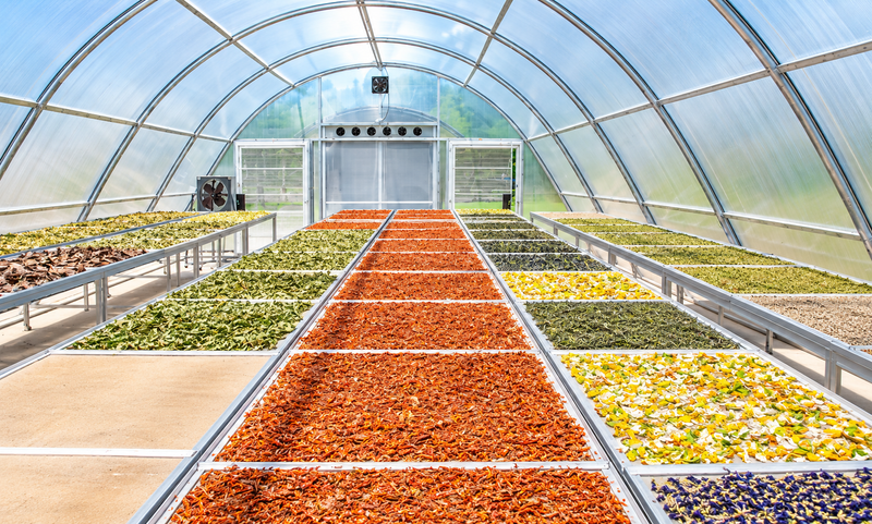 Best Solar Dryer in India for Large-Scale Drying Solutions